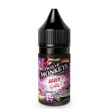 Twelve Monkeys Haven 30ml